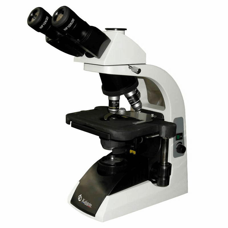 Microscope Binoculaire YR0244 : Caractéristiques et Applications