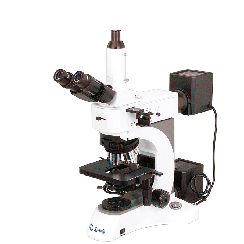 Principe de fonctionnement et fondement scientifique du microscope trinoculaire YR0256