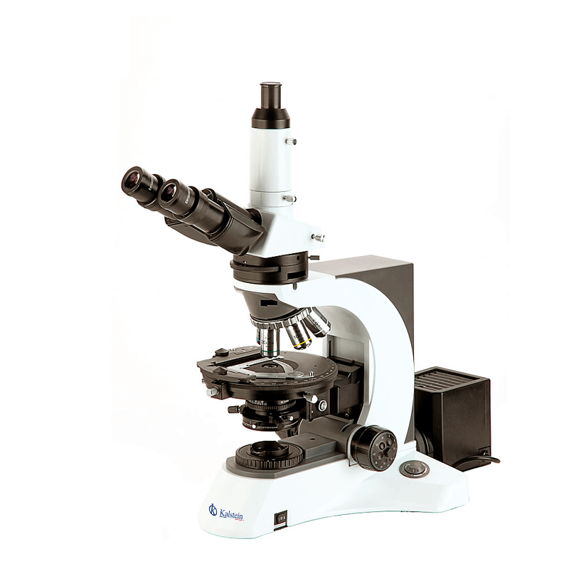 Adaptations sectorielles du microscope trinoculaire YR0261 dans le domaine clinique, industriel et éducatif