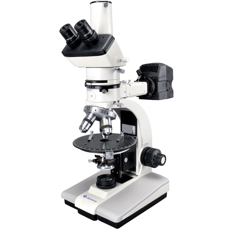 Adaptations sectorielles du microscope binoculaire YR0264 : applications cliniques, industrielles, alimentaires, vétérinaires et éducatives