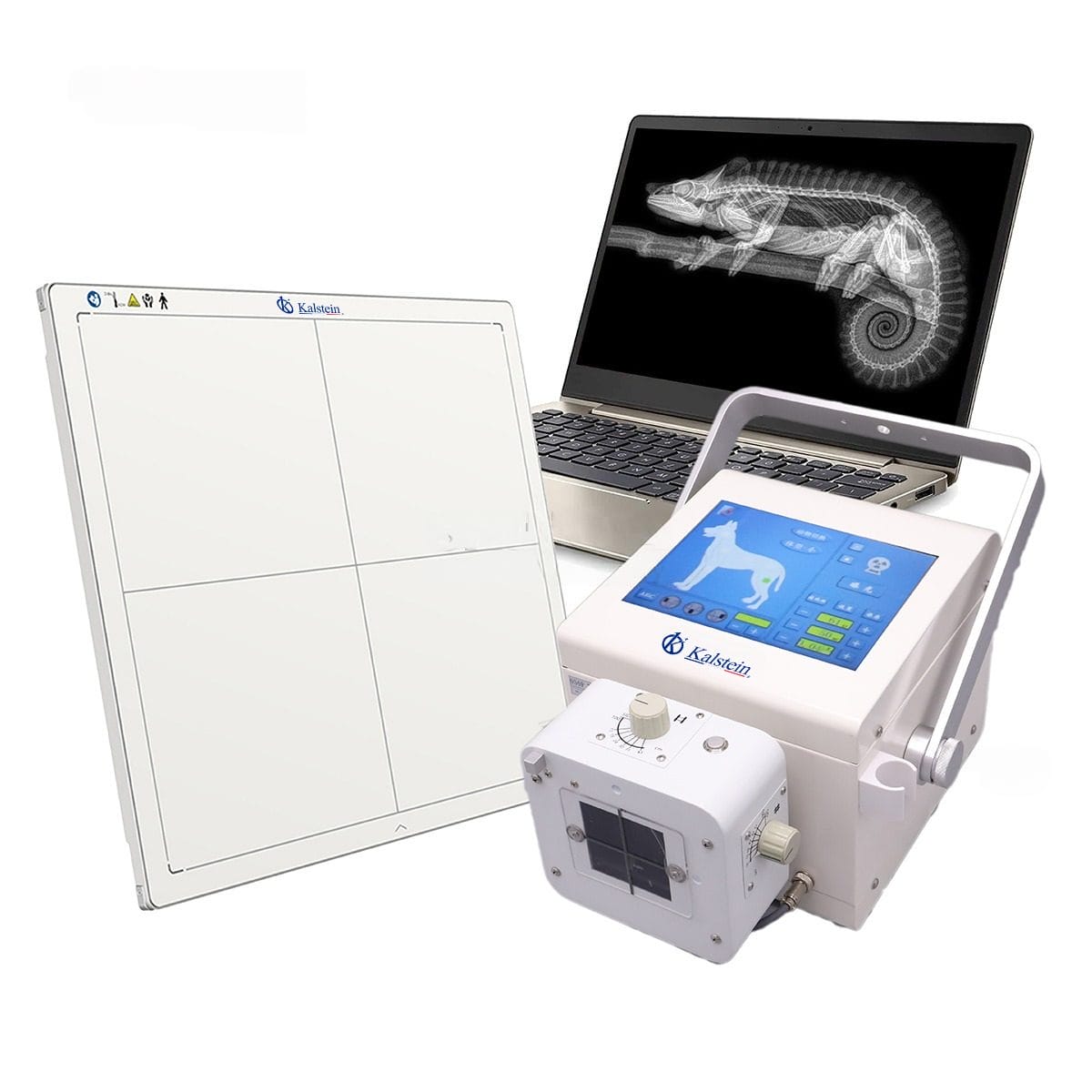 Personnalisation et accessoires avancés du modèle YR06160 : Optimisez votre radiographie numérique vétérinaire