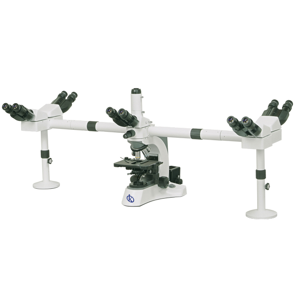 Comment éliminer les champignons de nos microscopes ?