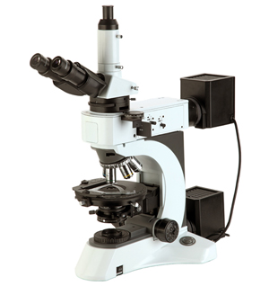 Les microscopes et leurs différentes utilisations