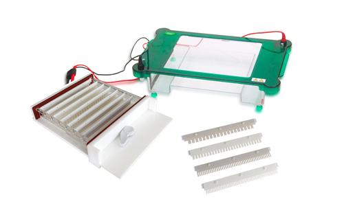 Électrophorèse : qu'est-ce que c'est ? et à quoi sert-il ?
