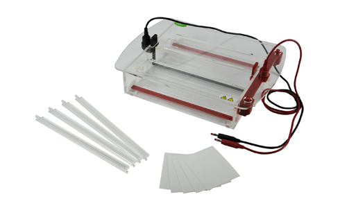 Maîtriser l'électrophorèse sur gel dans le laboratoire moderne