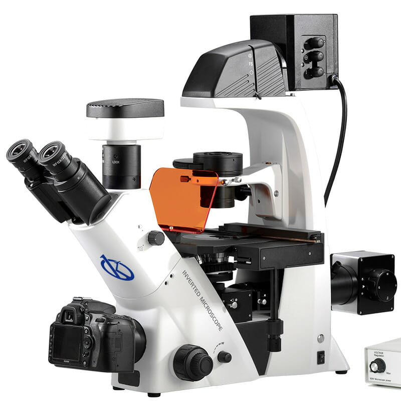 Qu'est-ce qu'un microscope à fluorescence ?