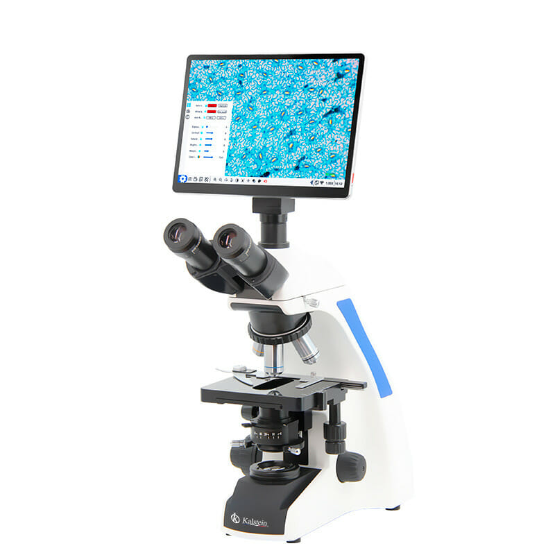 Microscopes : Eléments Invisibles Transformés en Images Claires et Meilleurs Diagnostics