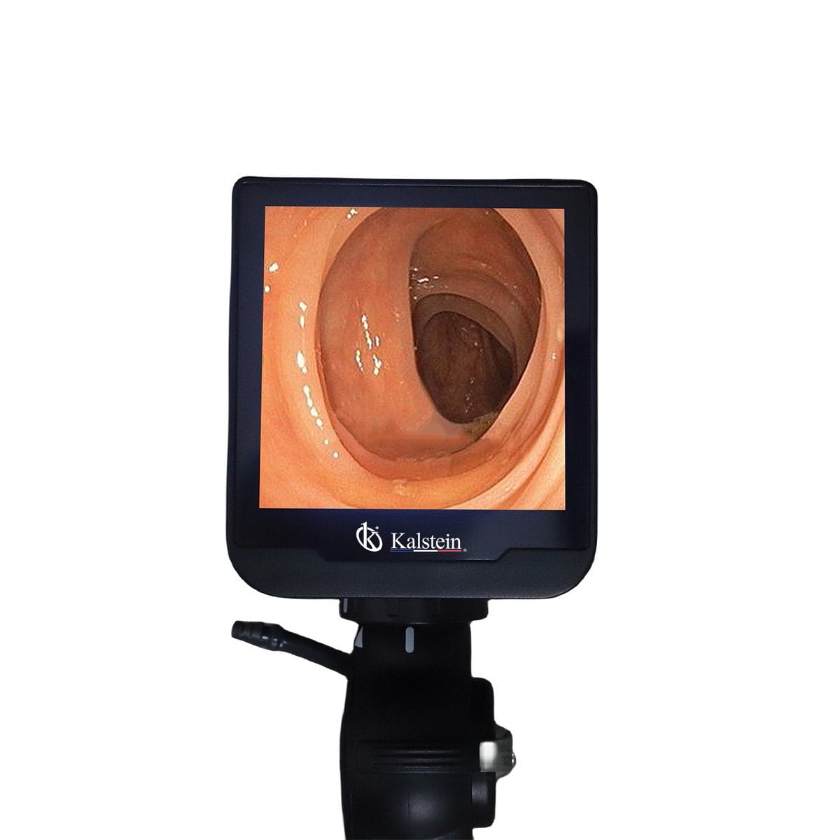 Découvrez les Incroyables Avantages du Vidéo Endoscope Vétérinaire de Kalstein