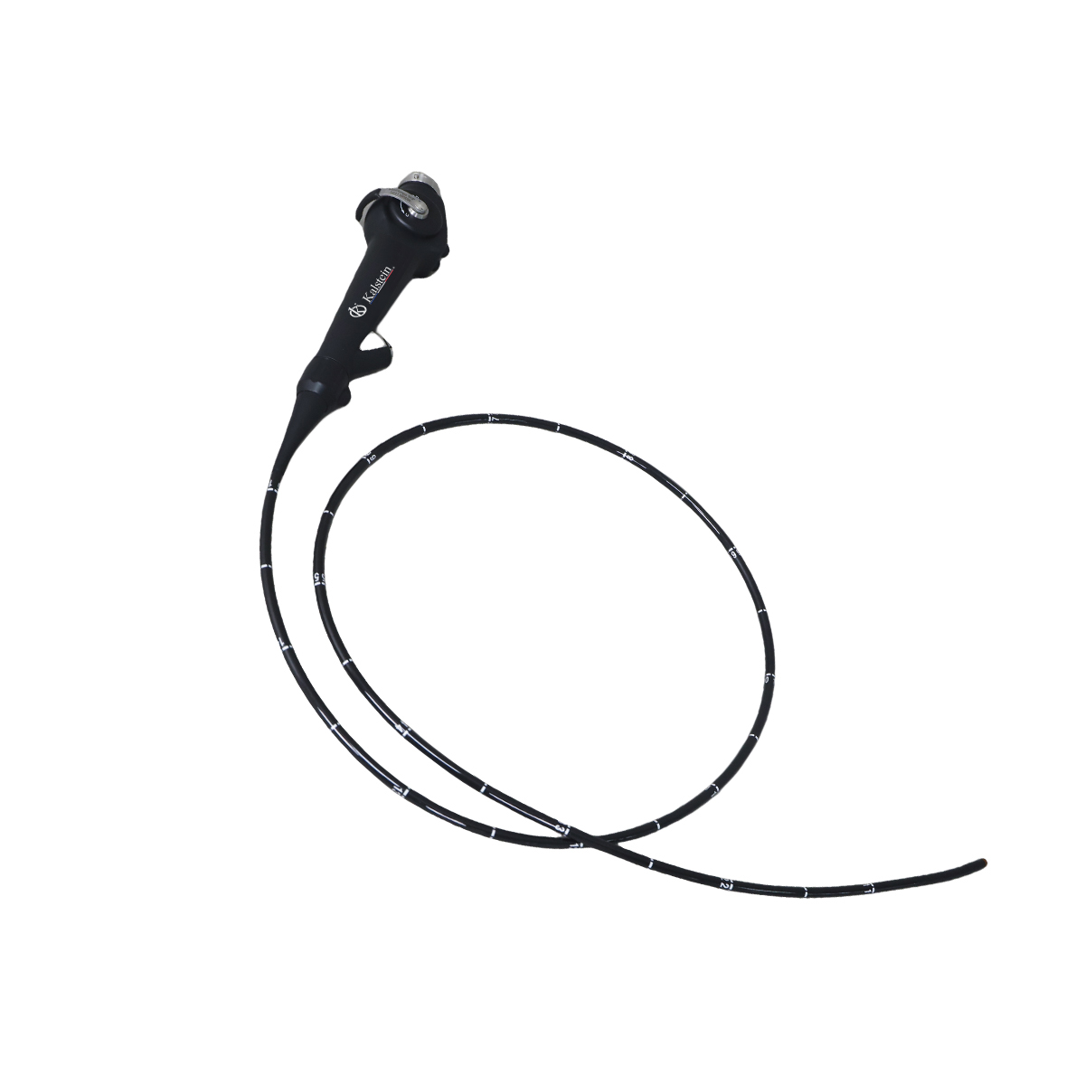 Révolutionnez votre Pratique Vétérinaire avec le Vidéo Endoscope Vétérinaire