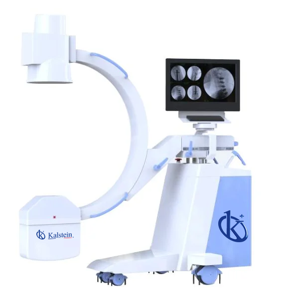 Rayons X Vétérinaires