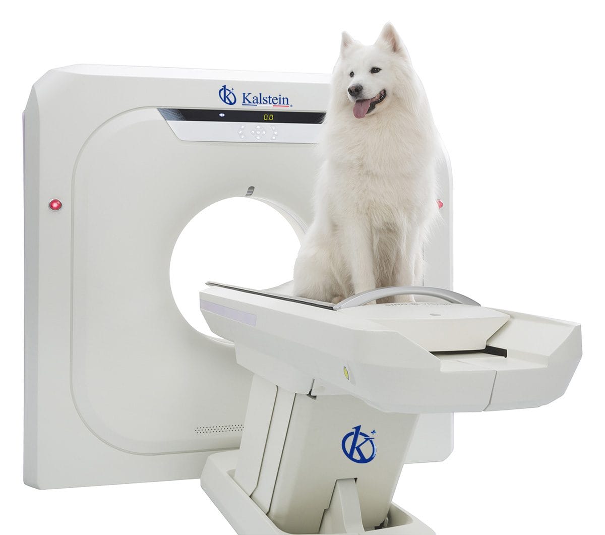 Révolutionner les diagnostics vétérinaires avec le CT Scanner Vétérinaire