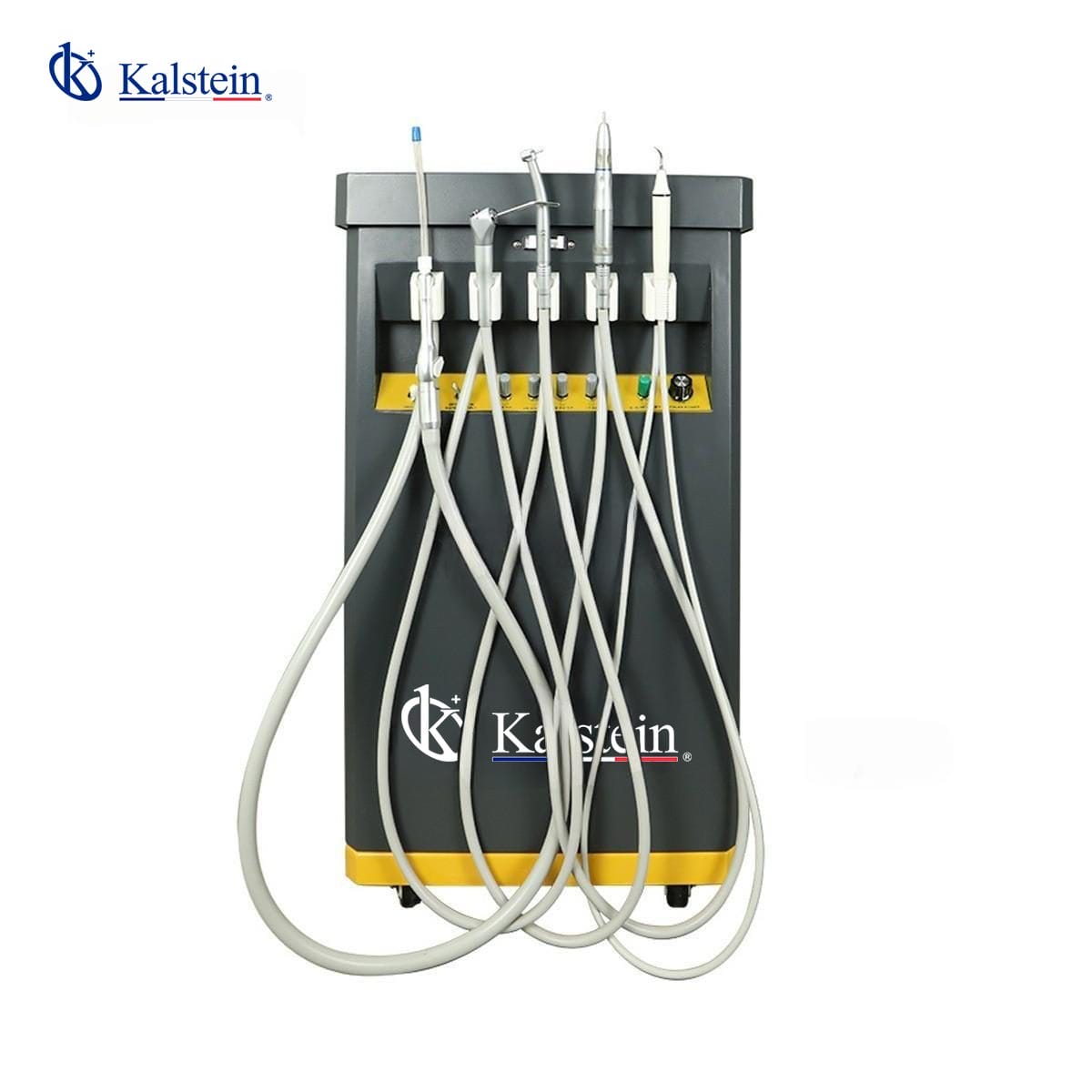 Unité Dentaire Vétérinaire