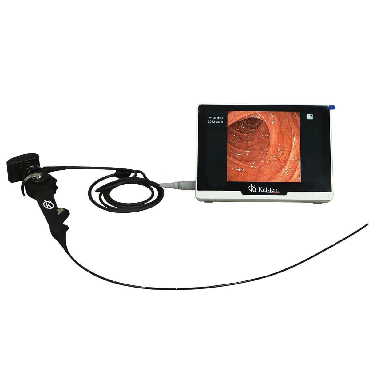 Vidéo Endoscope Vétérinaire