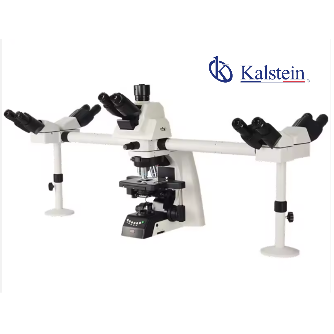 Microscope de laboratoire de recherche à vision multiple YR06688