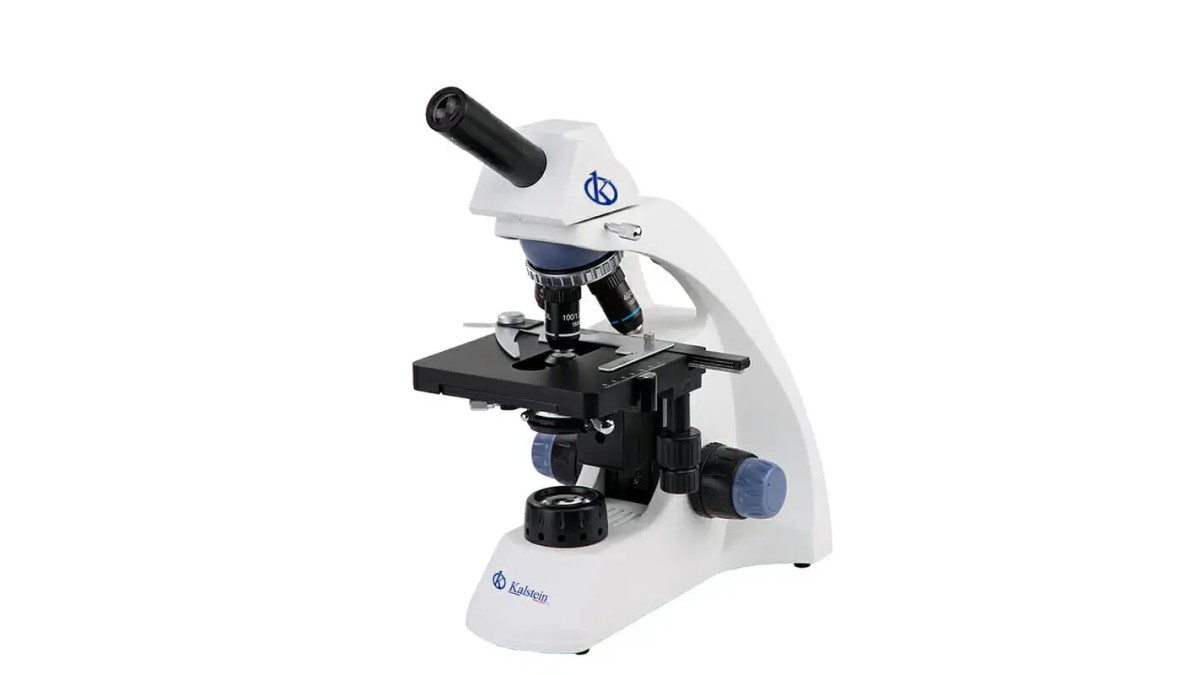 Microscope Binoculaire YR0242-T : Une Référence pour l'Observation au Laboratoire
