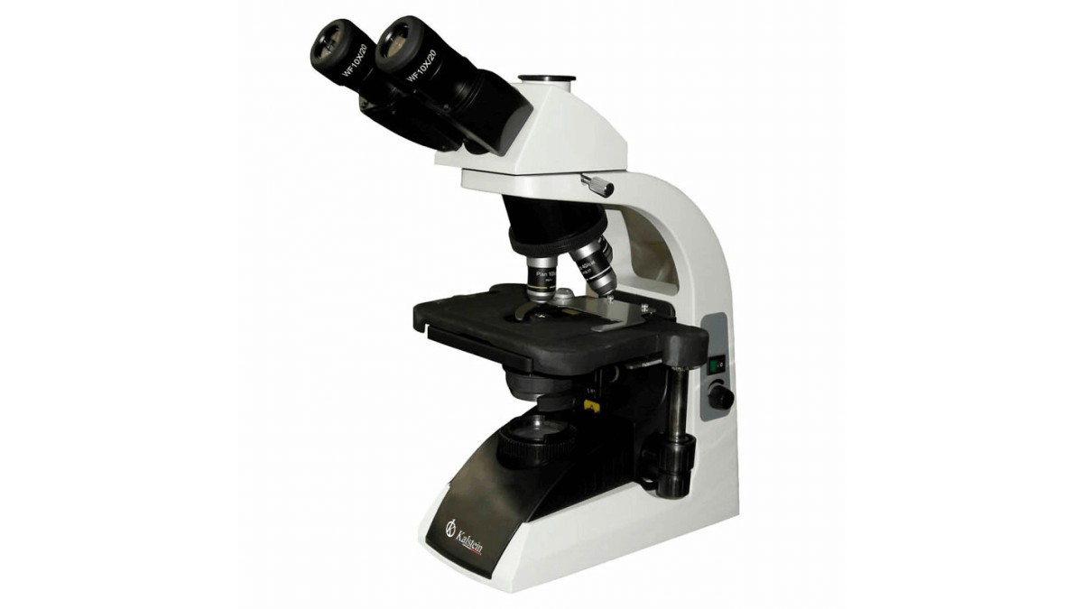 Microscope Binoculaire YR0244 : Caractéristiques et Applications