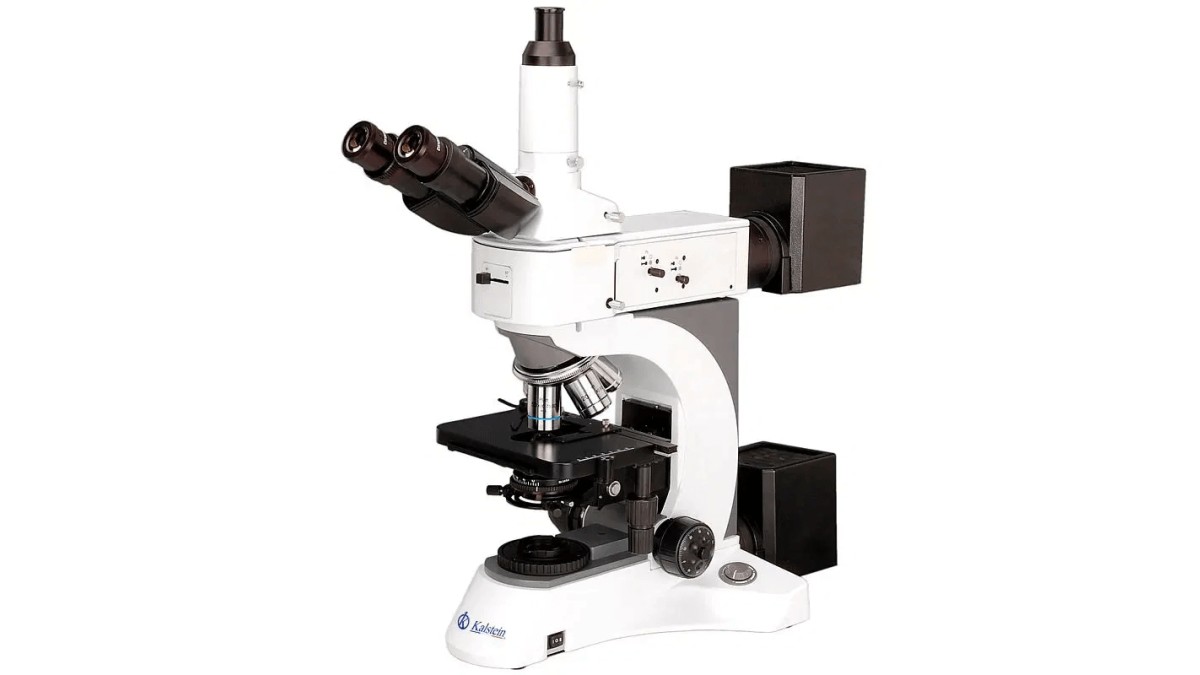 Microscope Trinoculaire YR0252 : Un Outil Indispensable pour les Laboratoires